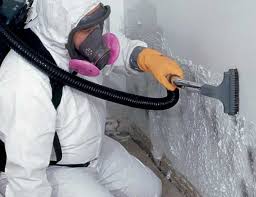 Forensic Mold Investigation in Wolfdale, PA